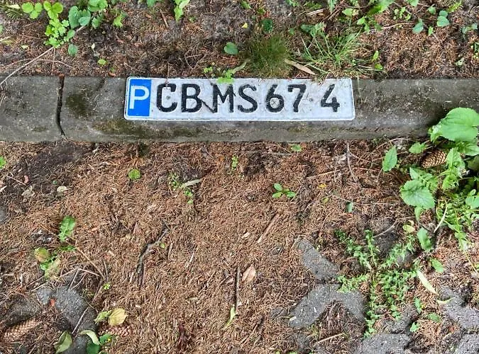 Schoene Mit Kostenlosem Parkplatz Daire Cottbus